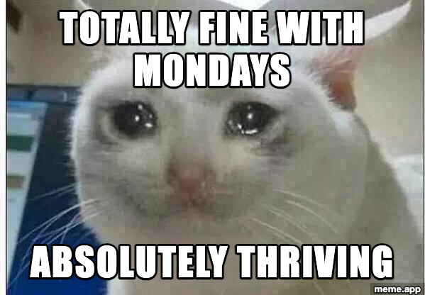 Crying Cat meme about being totally fine with Mondays while clearly not thriving
