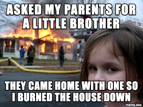 Disaster Girl meme about burning the house down after her parents brought home a little brother