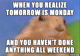 Dramatic Chipmunk meme about realizing tomorrow is Monday and you haven't done anything all weekend