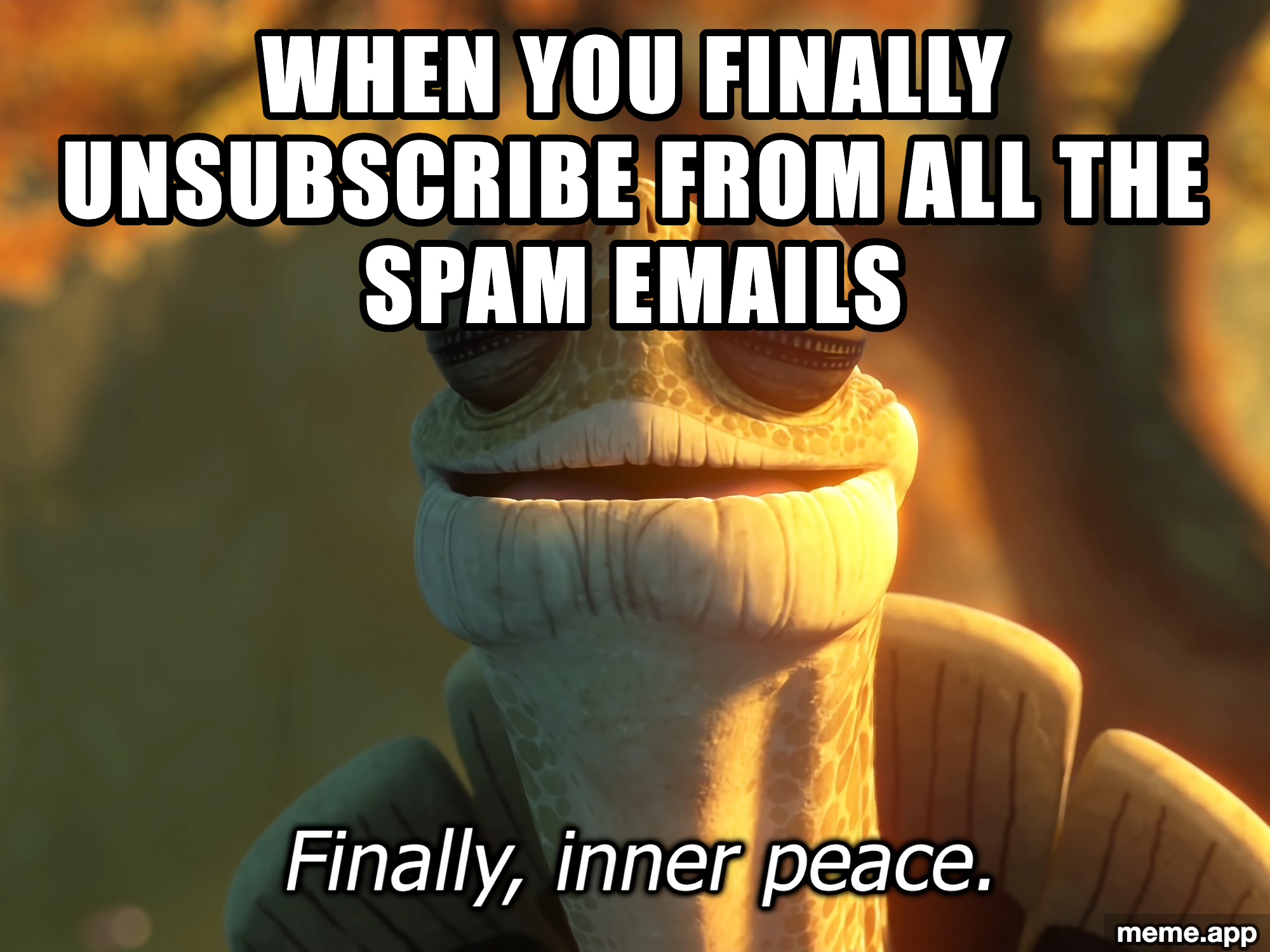 Finally Inner Peace meme about the bliss of unsubscribing from all spam emails