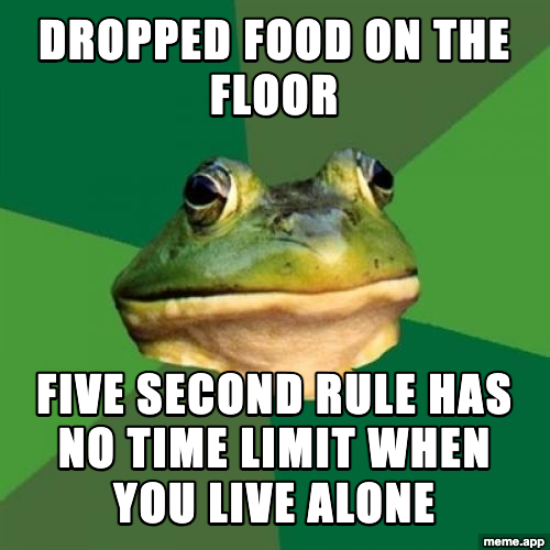 Foul Bachelor Frog meme about the five-second rule having no time limit when you live alone