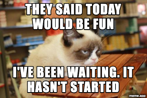 Grumpy Cat Table meme about being told today would be fun and still waiting for it to start