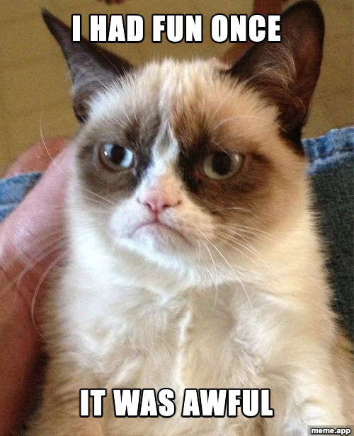Grumpy Cat meme saying I had fun once and it was awful