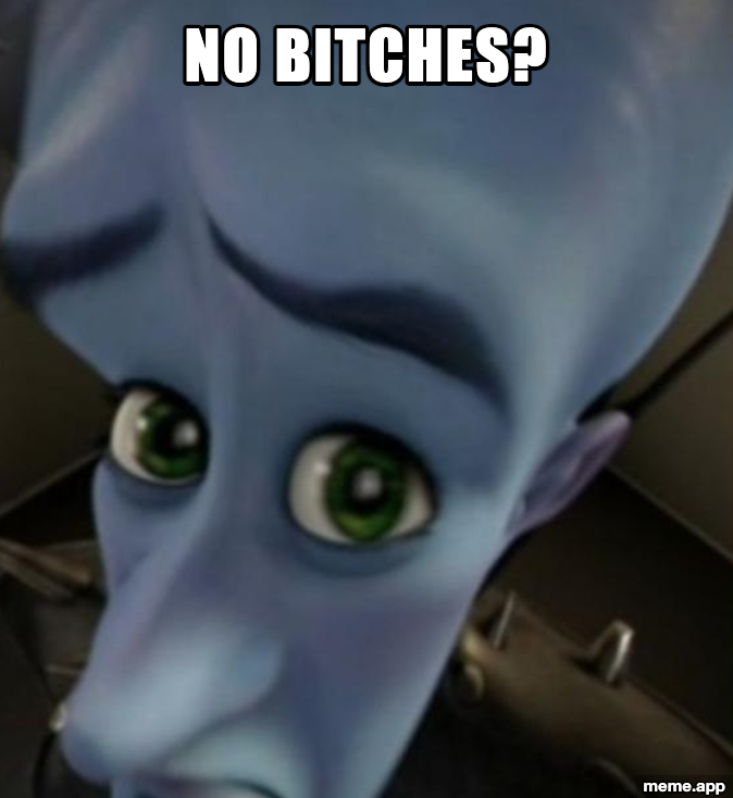 Megamind looking down condescendingly with the caption no bitches