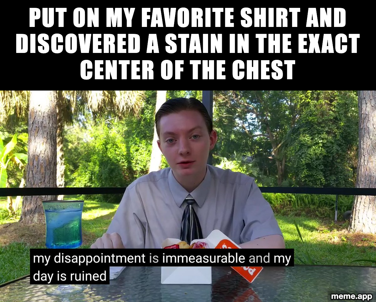 My Disappointment Is Immeasurable meme about ordering a large fries and being devastated by the result