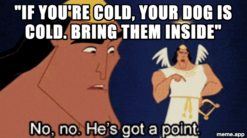 No No He's Got A Point meme conceding that if you're cold your dog is also cold