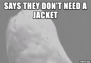 Animated O RLY Owl GIF questioning someone who says they don't need a jacket