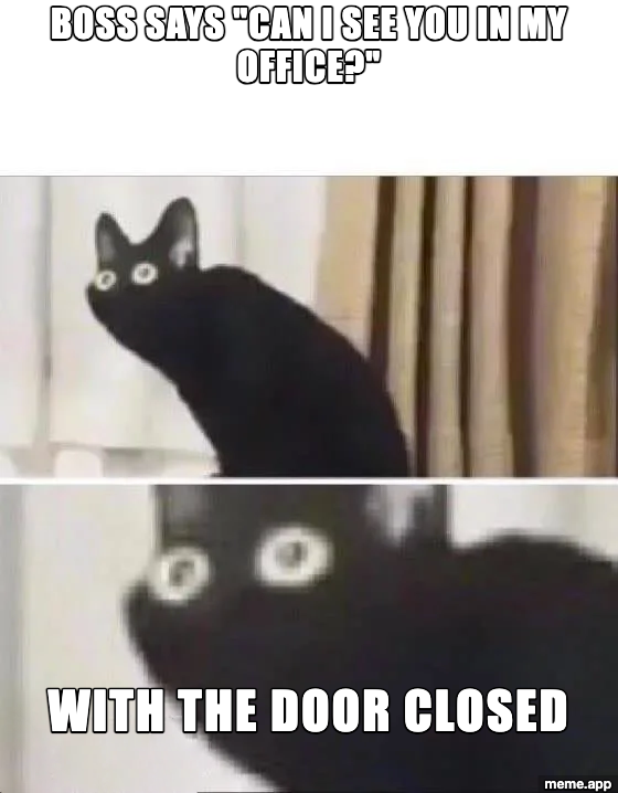 Oh No Black Cat meme about the boss saying "can I see you in my office?" and then adding "with the door closed"