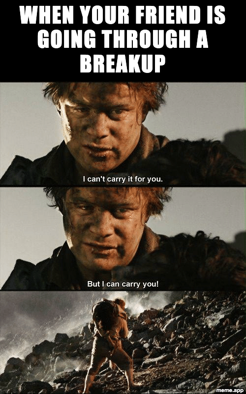 Sam I Can't Carry It For You meme about supporting a friend going through a breakup