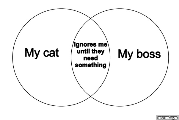 Venn diagram meme comparing a cat and a boss with the overlap being they both ignore you until they need something