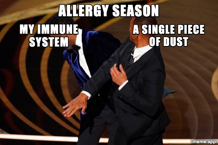 Will Smith Slap meme with immune system slapping a piece of dust during allergy season