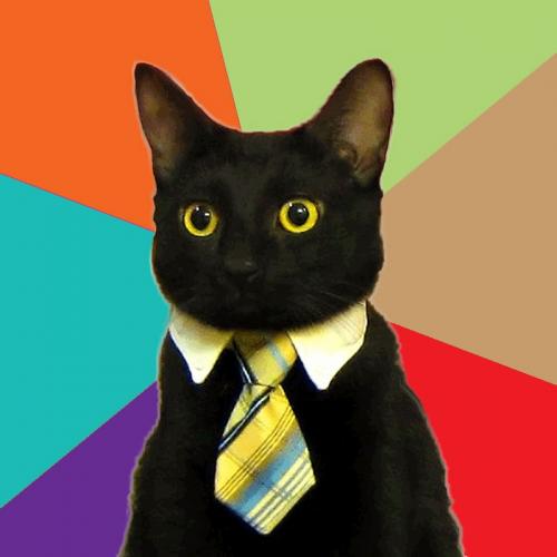 Business Cat meme template