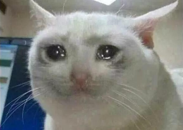 Crying Cat meme template
