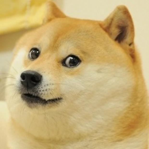 Doge meme template