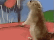 Dramatic Chipmunk GIF meme template