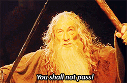 Gandalf You Shall Not Pass GIF meme template