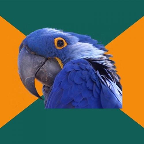 Paranoid Parrot meme template