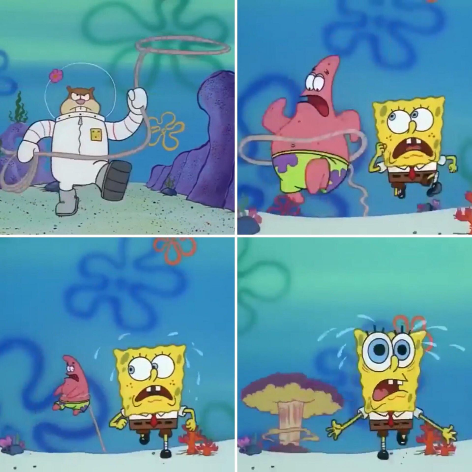 Sandy Cheeks Lasso meme template