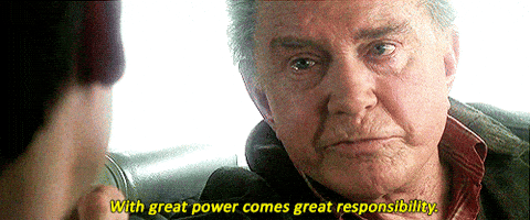 With Great Power Comes Great Responsibility GIF meme template